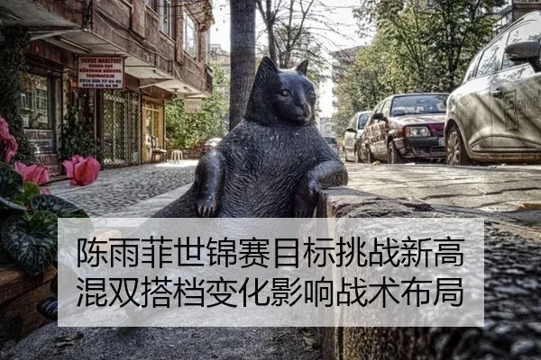 陈雨菲世锦赛目标挑战新高 混双搭档变化影响战术布局